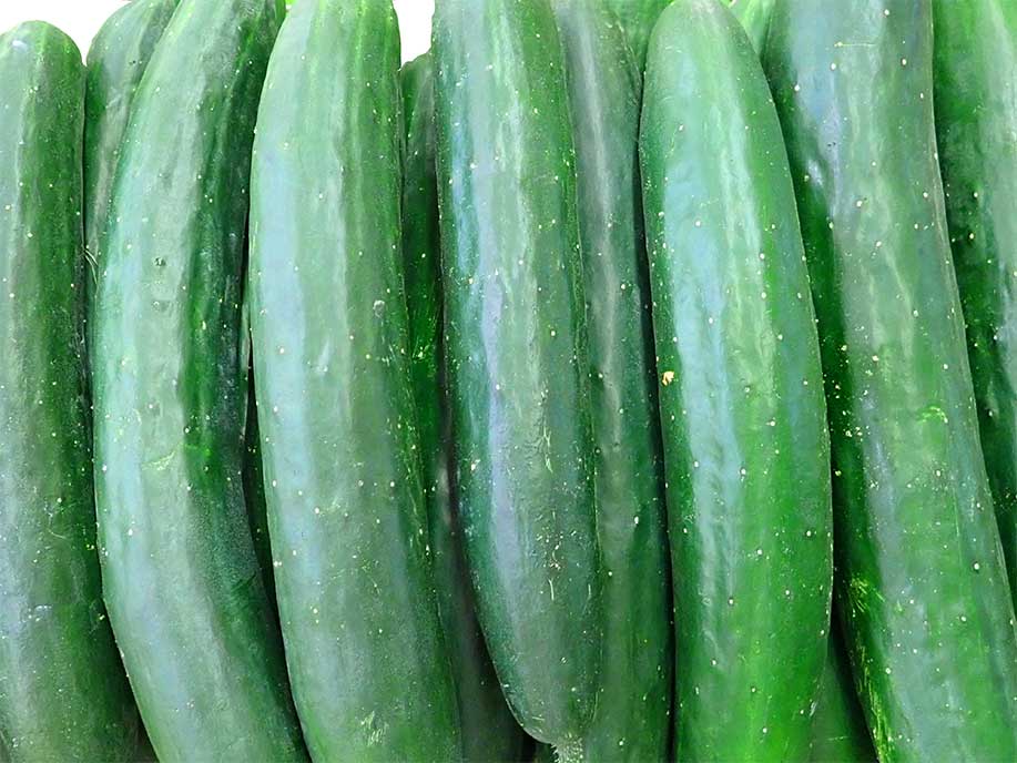 Japanese Cucumber - Japanese Qing Gua 600g - SGWetMarket