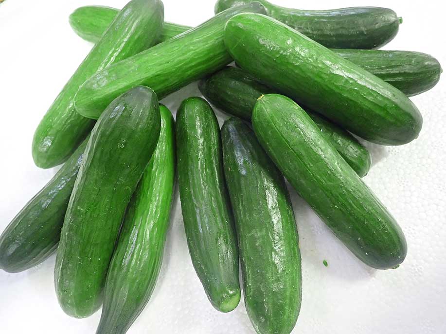 Japanese Mini Cucumber - Japanese Xiao Qing Gua 500g - SGWetMarket