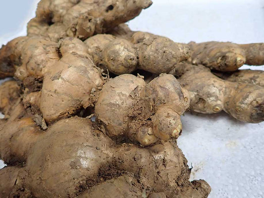 Malaysia Ginger - Wen Dong Jiang 1kg - SGWetMarket