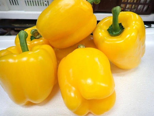 Yellow Bell Pepper 400g - SGWetMarket