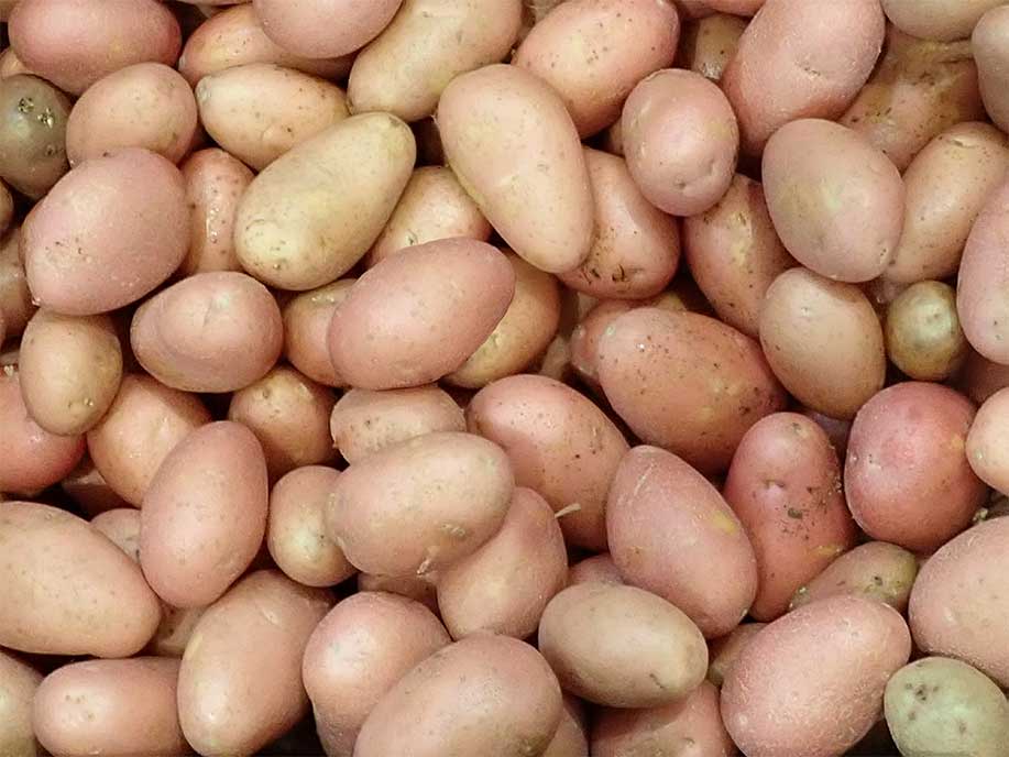 Australian Potato 1kg - SGWetMarket