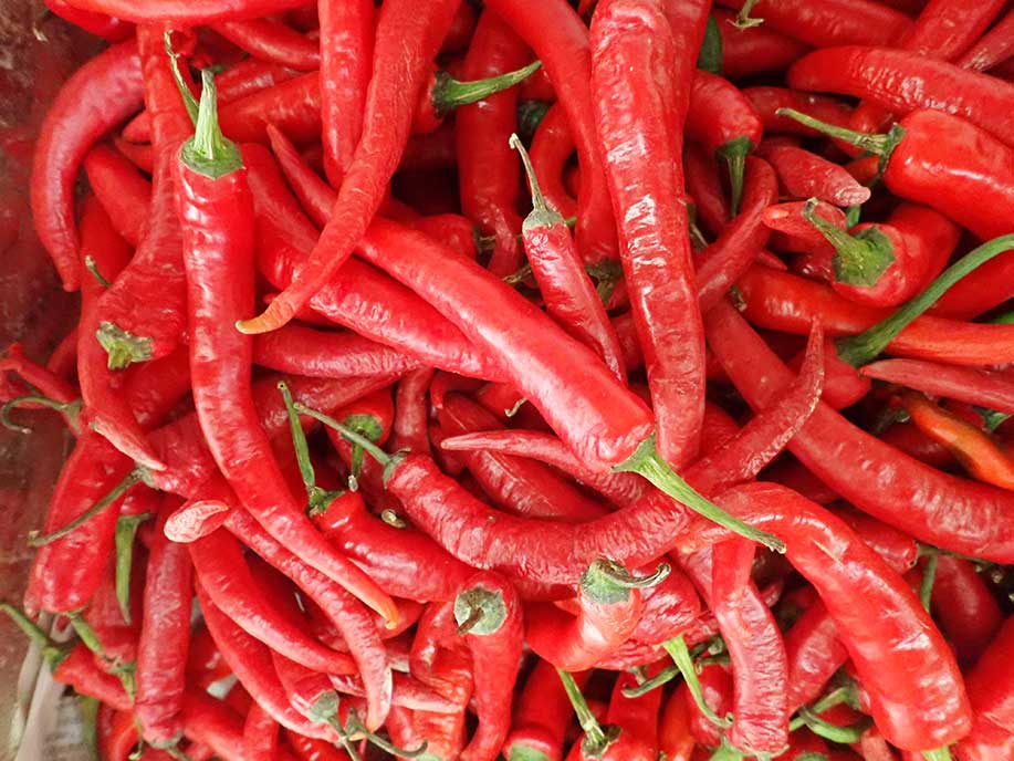 Malaysia Big Red Chili 400g - SGWetMarket