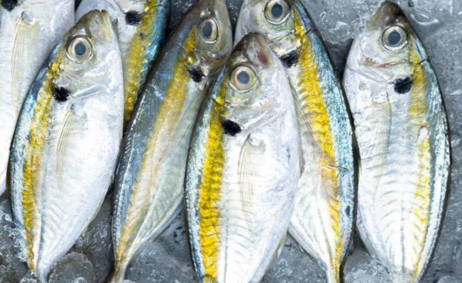 Kunling Fish 400g