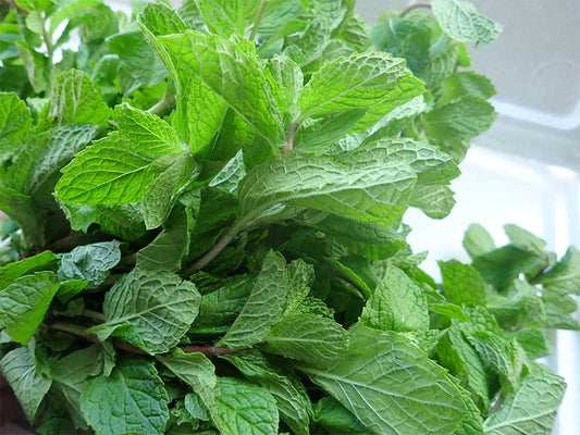 Mint Leaf - Bo He 300g - SGWetMarket