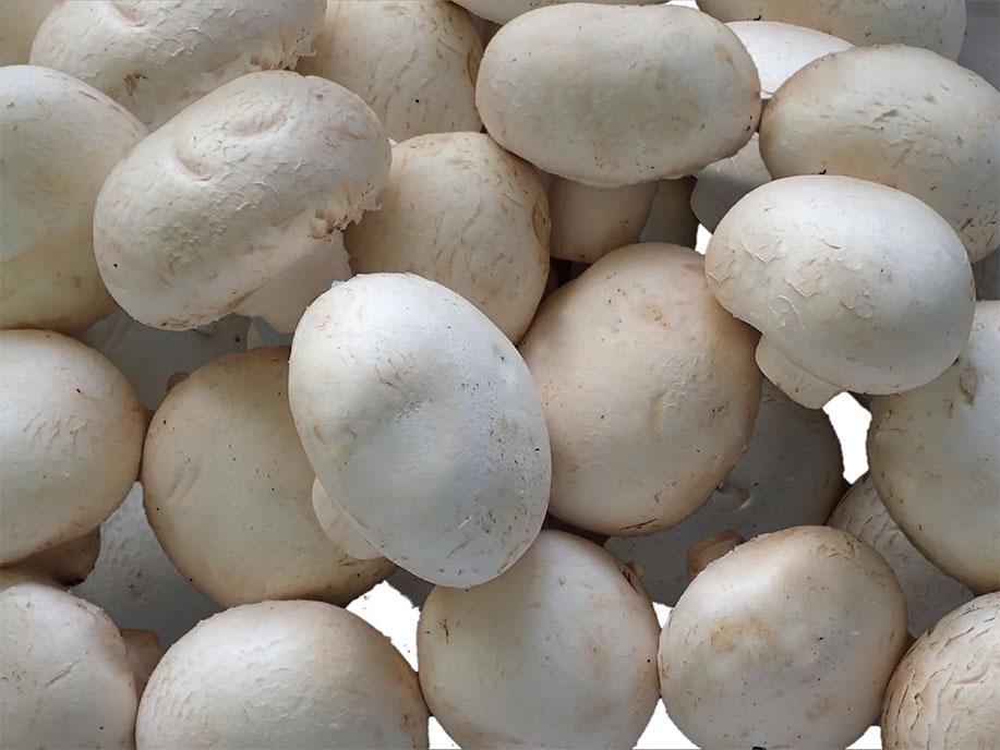 White Button Mushroom 400g - SGWetMarket