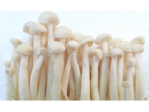 White Crab Mushroom - Da Jin Zhen 300g - SGWetMarket